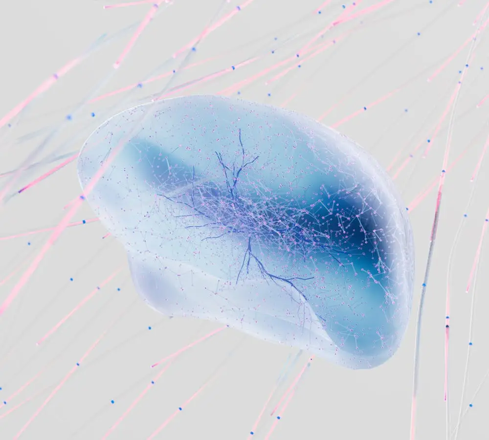 pexels-photo-17483867-1