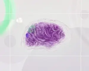 pexels-photo-17483868-1