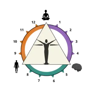 Círculo-Delficus_Portfólio